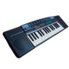 CASIO CITADEL SA-21 ارگ آموزشی کاسیو